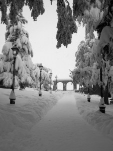 ilnevone terza ilnevone-terza