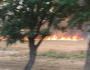 incendio-villa-potenza-3-300x234