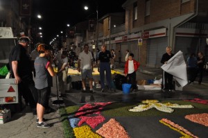 infiorata25-300x199