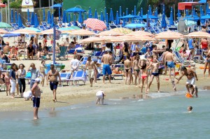 mare