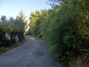 Immagine-602-Copia-300x225