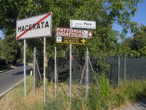 Immagine-611-Copia-300x225