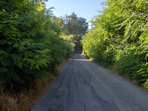 Immagine-612-Copia-300x225