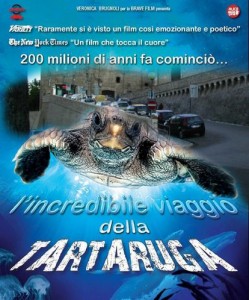 Rampa-Zara-Lincredibile-viaggio-della-tartaruga