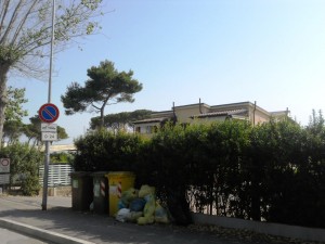 differenziata-pineta-1o-300x225