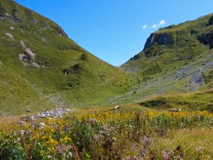 pascolo_montecavallo