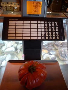 pomodoro-civitanova-11-225x300