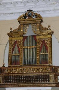 Organo