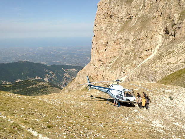 caprioli (2) caprioli-2