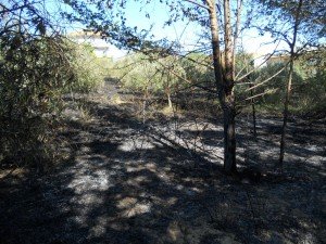 incendio (5)