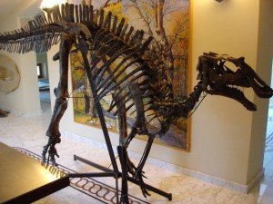 Collezione_Recchi_Scheletro_dinosauro Collezione_Recchi_Scheletro_dinosauro