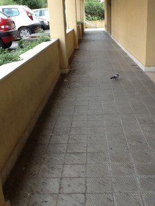 Degrado-Villa-Potenza-Collevario-3-225x300