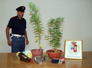 civitanova1-marijuana-300x221