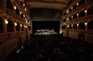 Brunello-Apap-mix-7-300x199