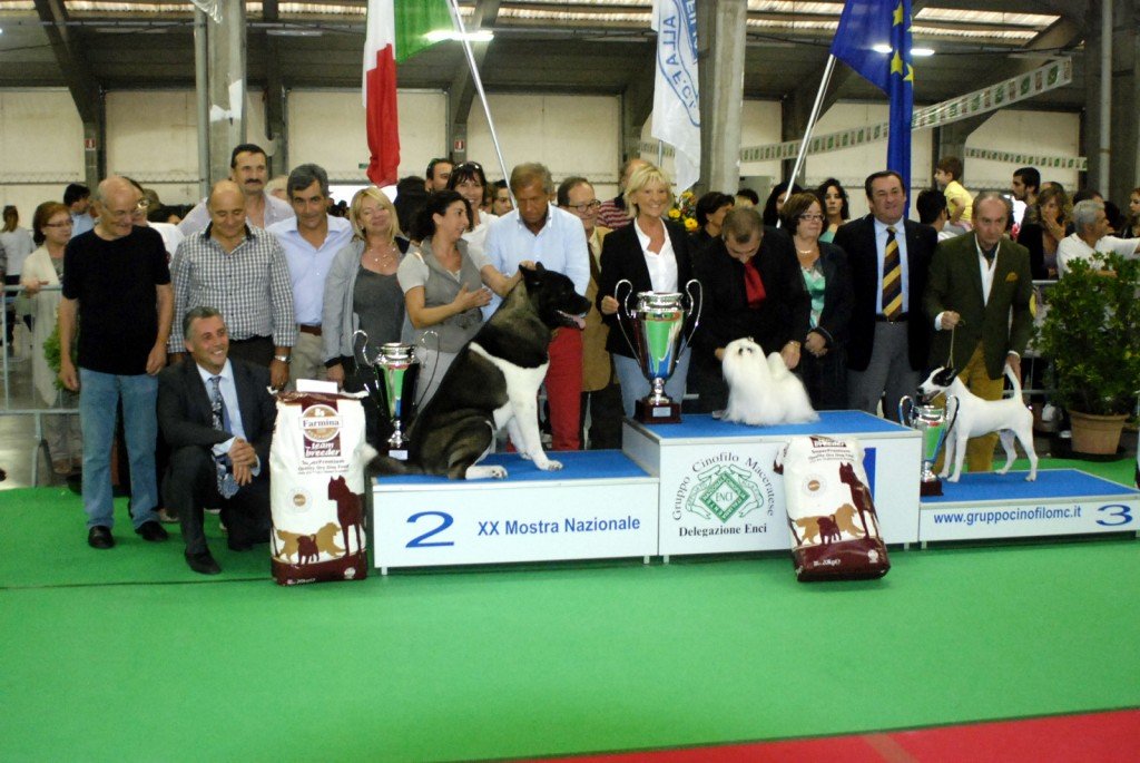 cani2012-1024x685