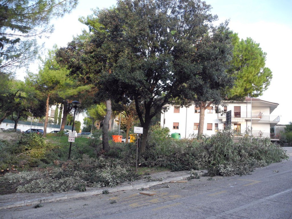 incidente sul lavoro (1) incidente-sul-lavoro-1-1024x768