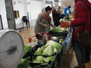 Il mercato delle erbe recentemente inaugurato in via Armaroli, a Macerata