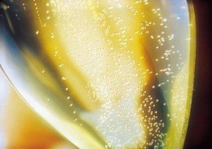 bollicine