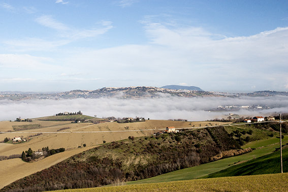 Panorama_nebbia_Lucrezia_Benfatto (1)
