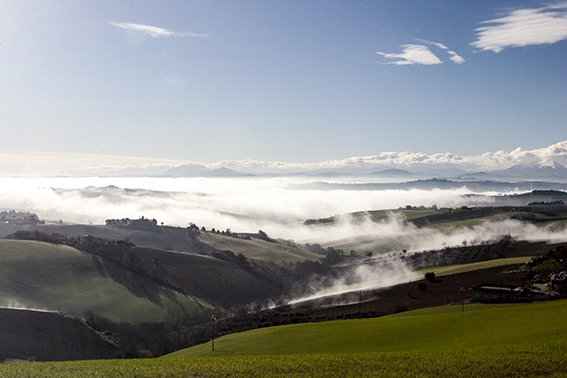 Panorama_nebbia_Lucrezia_Benfatto (2)
