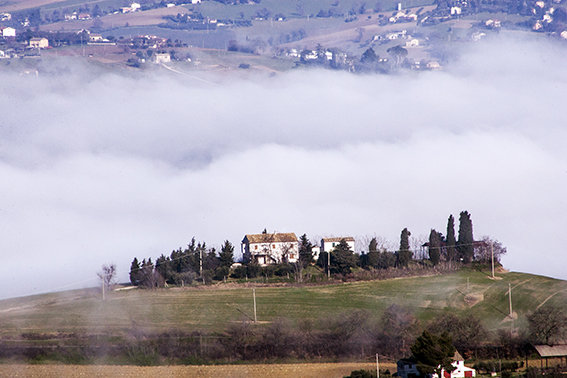 Panorama_nebbia_Lucrezia_Benfatto (3)