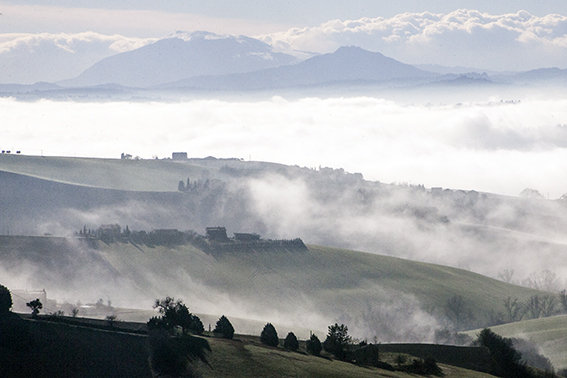 Panorama_nebbia_Lucrezia_Benfatto (4)