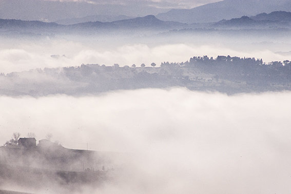 Panorama_nebbia_Lucrezia_Benfatto (5)