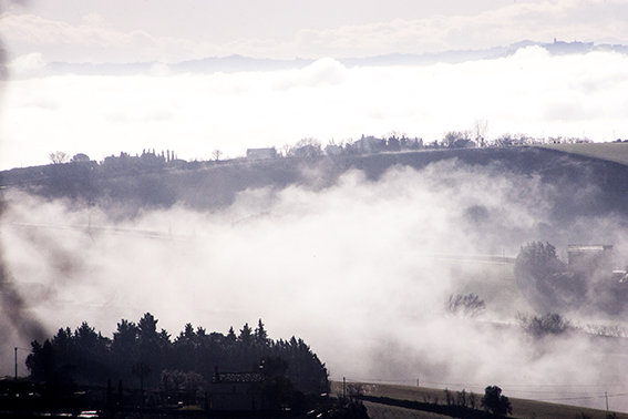 Panorama_nebbia_Lucrezia_Benfatto (6)