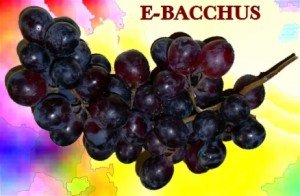 b_ebacchus