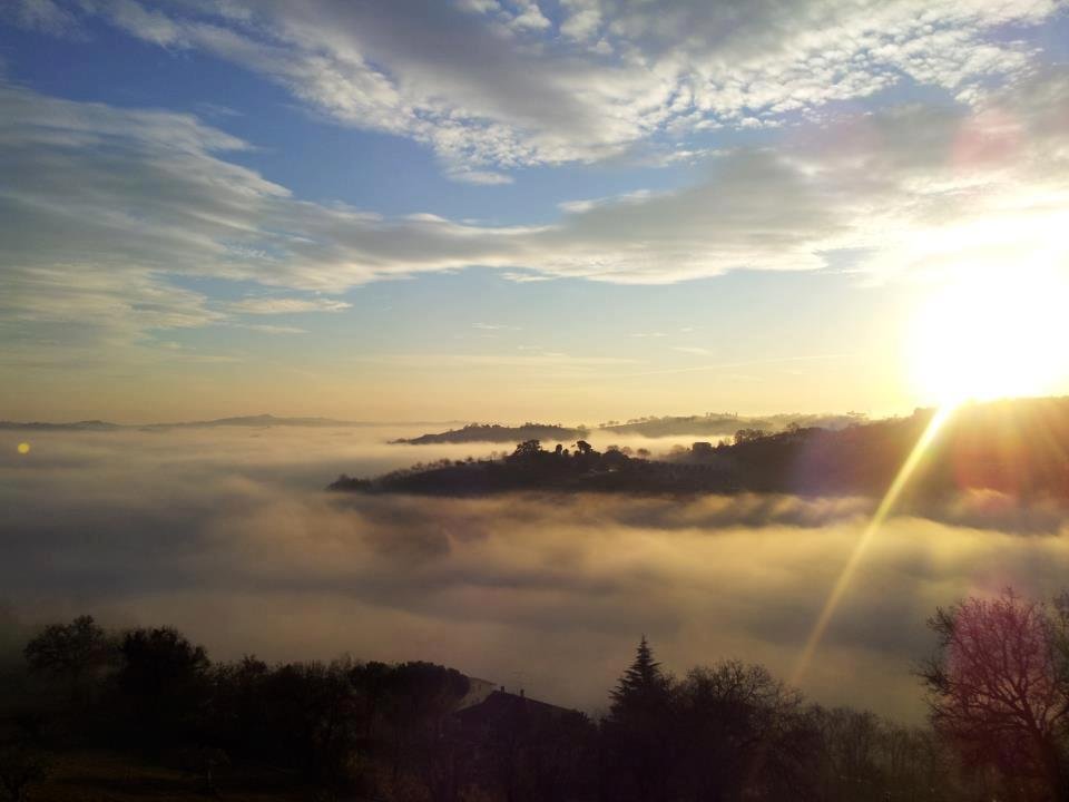nebbia