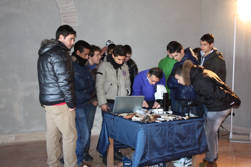 Lab3