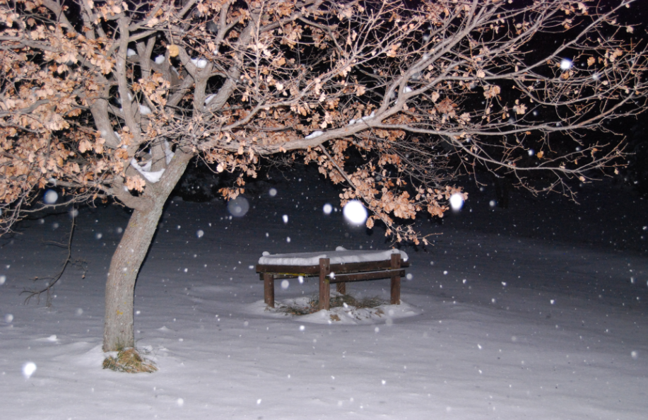 Neve a Treia 1