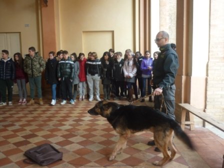  Alunni Istituto comprensivo “Egisto Paladini”