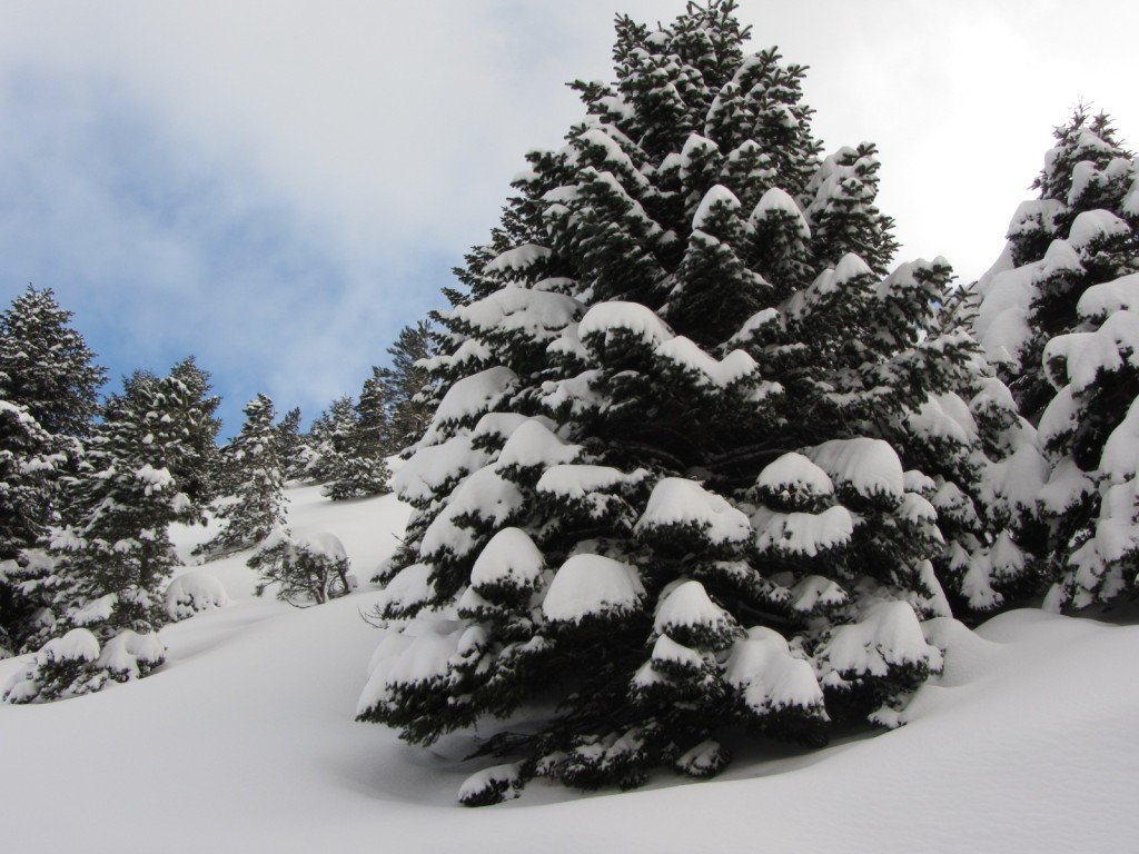PinturaBolognola_Neve_02_Paolo_Cruciani_09-02-13