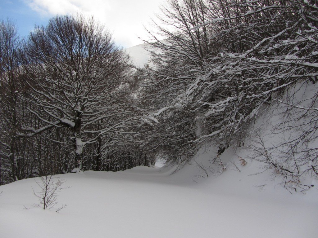 PinturaBolognola_Neve_03_Paolo_Cruciani_09-02-13