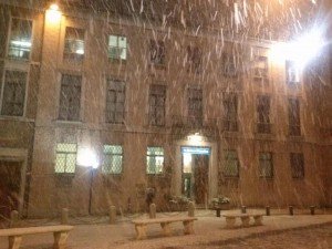 Foto di Lorenza Natali
