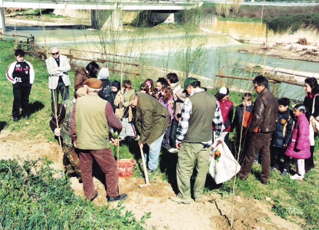 Festa dell'Albero