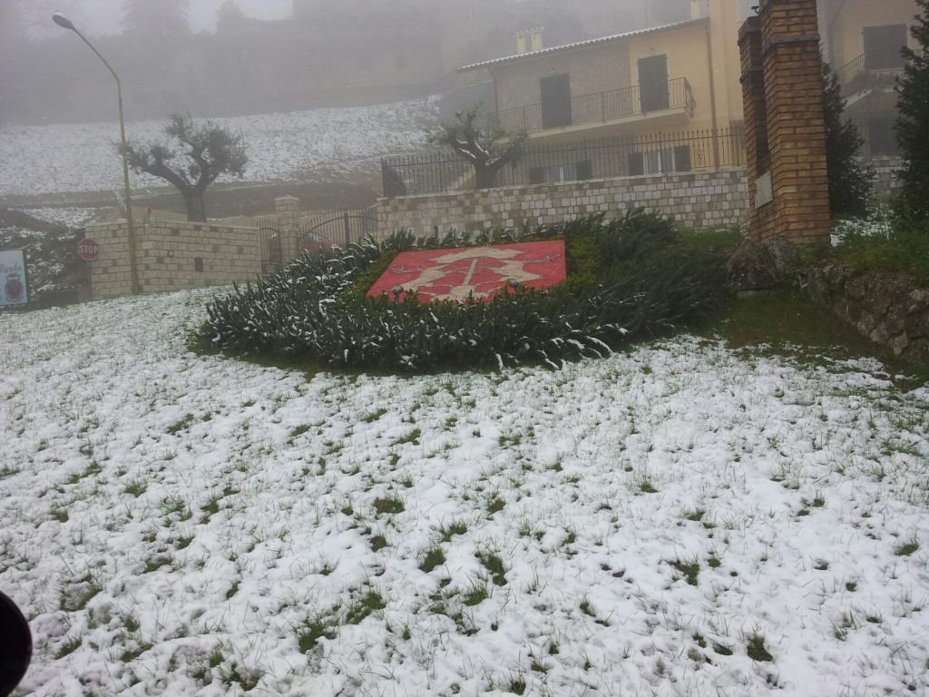 cingoli_samuele_crucianelli