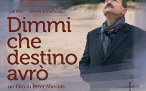 dimmi-che-desinto-426x268