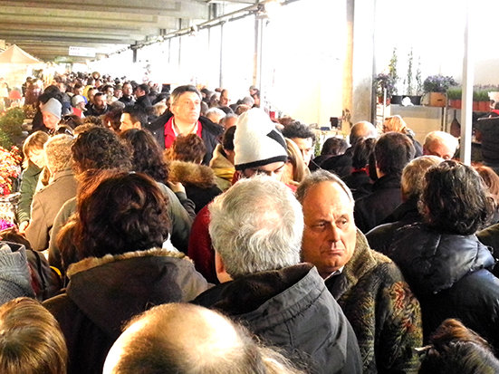 fiera_del_verde_2013 (1)