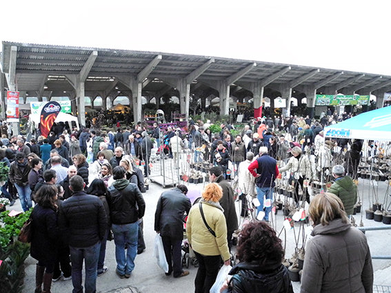 fiera_del_verde_2013 (12)