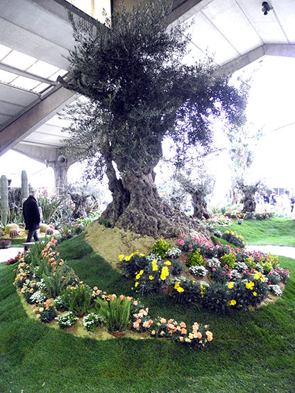 fiera_del_verde_2013 (17)