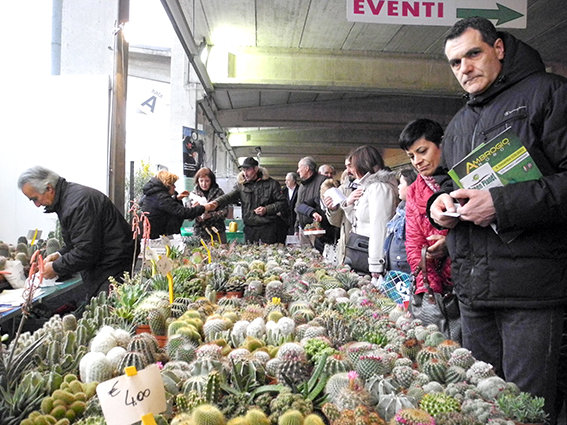 fiera_del_verde_2013 (5)