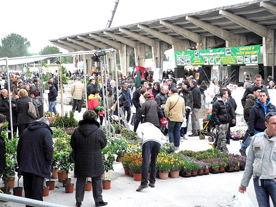 fiera_del_verde_2013 (6)