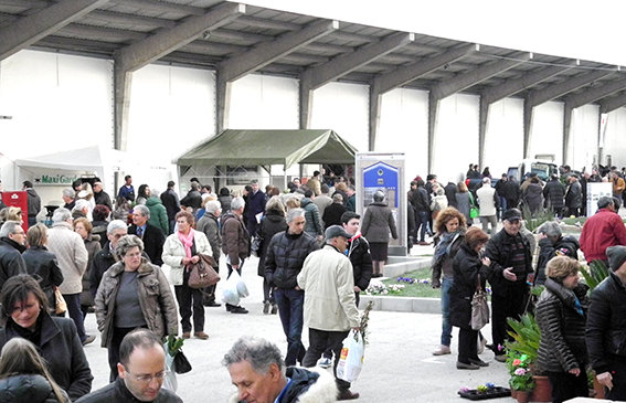 fiera_del_verde_2013 (7)