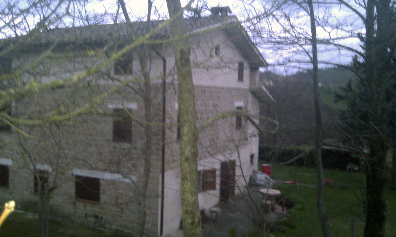 vallimestre (1)