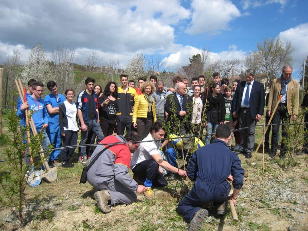 Agraria (2)