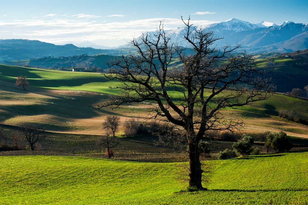 Foto campagna macerate