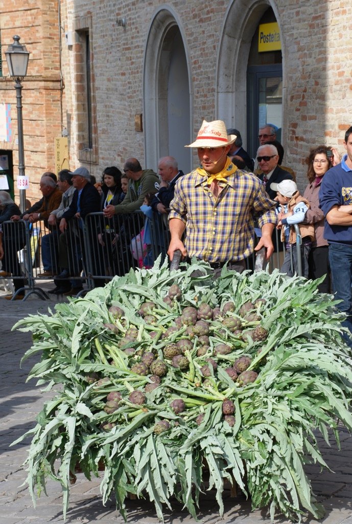 Carciofi Montelupone