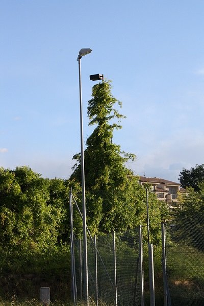 IMG_6077-1
